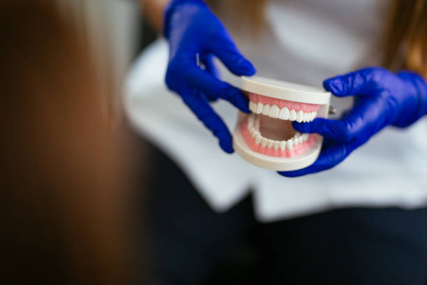Best Preventive Dentistry  in Ridgebury, CT